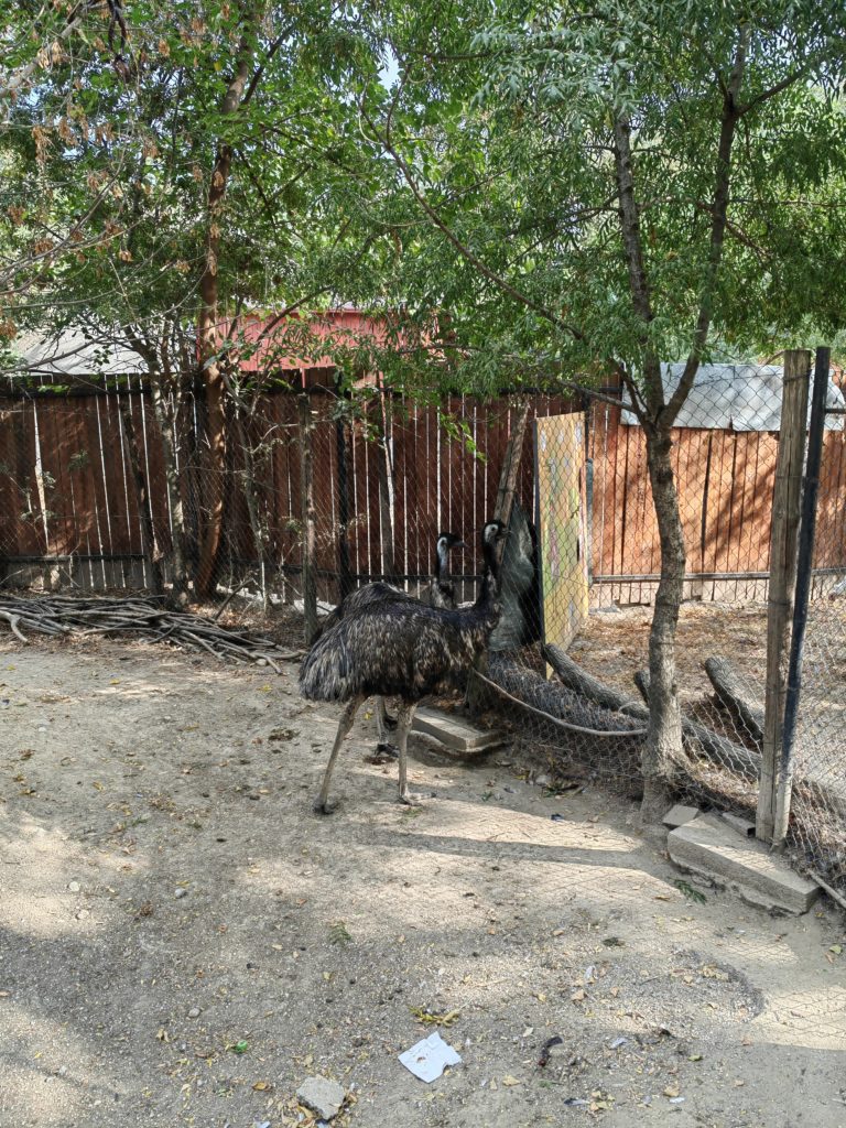 Najjeftinija ulaznica za zoo ptice