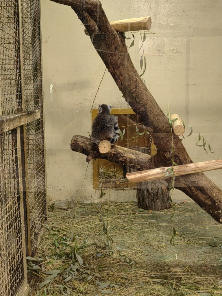 Najjeftinija ulaznica za zoo 