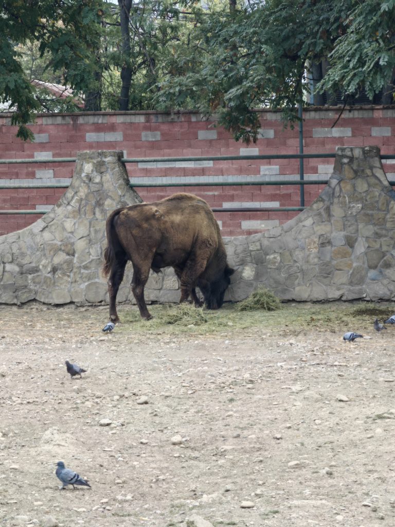 Najjeftinija ulaznica za zoo skopje 