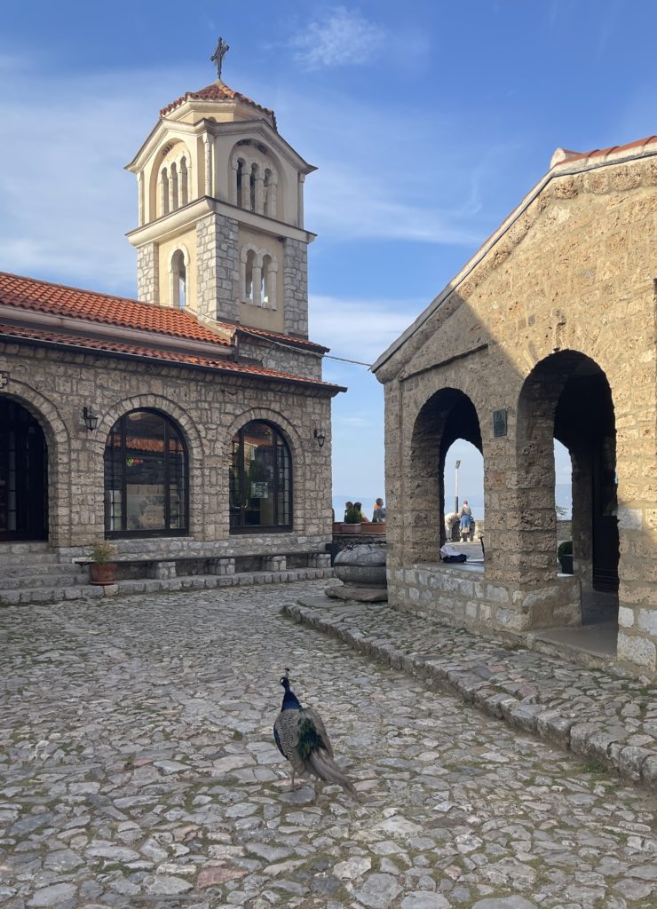 Manastir Sveti Naum paun