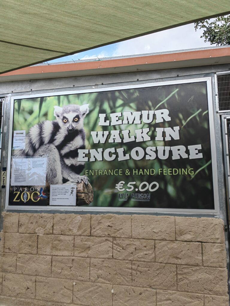 hranjenje lemura u zoo