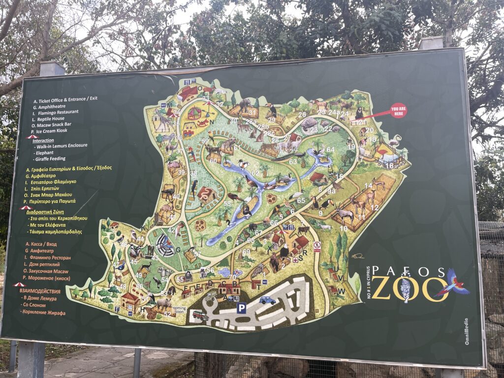 Pafos Zoo na Cipru