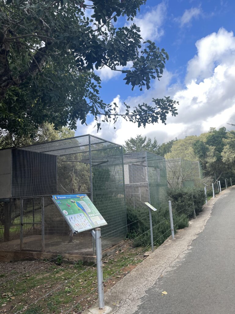 Pafos Zoo na Cipru ptice