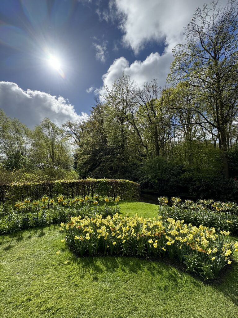 Keukenhof - najveći vrt tulipana