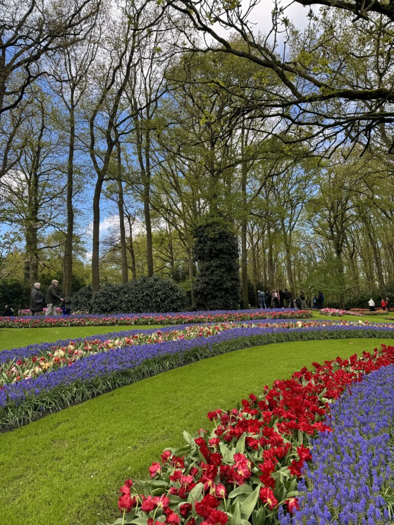 par nizozemska s tulipanima