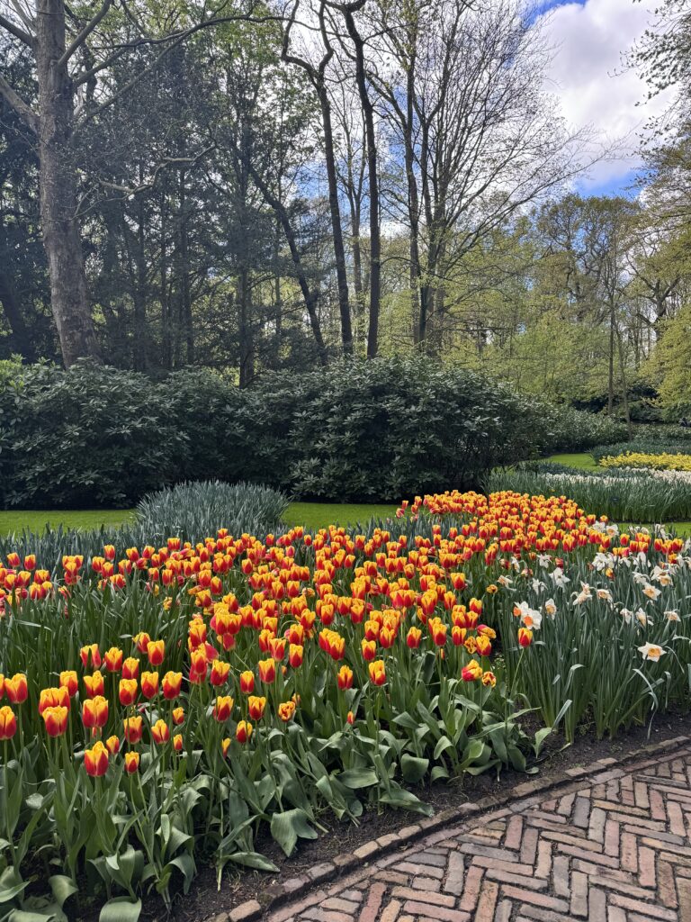 Nizozemska Keukenhof - najveći vrt tulipana