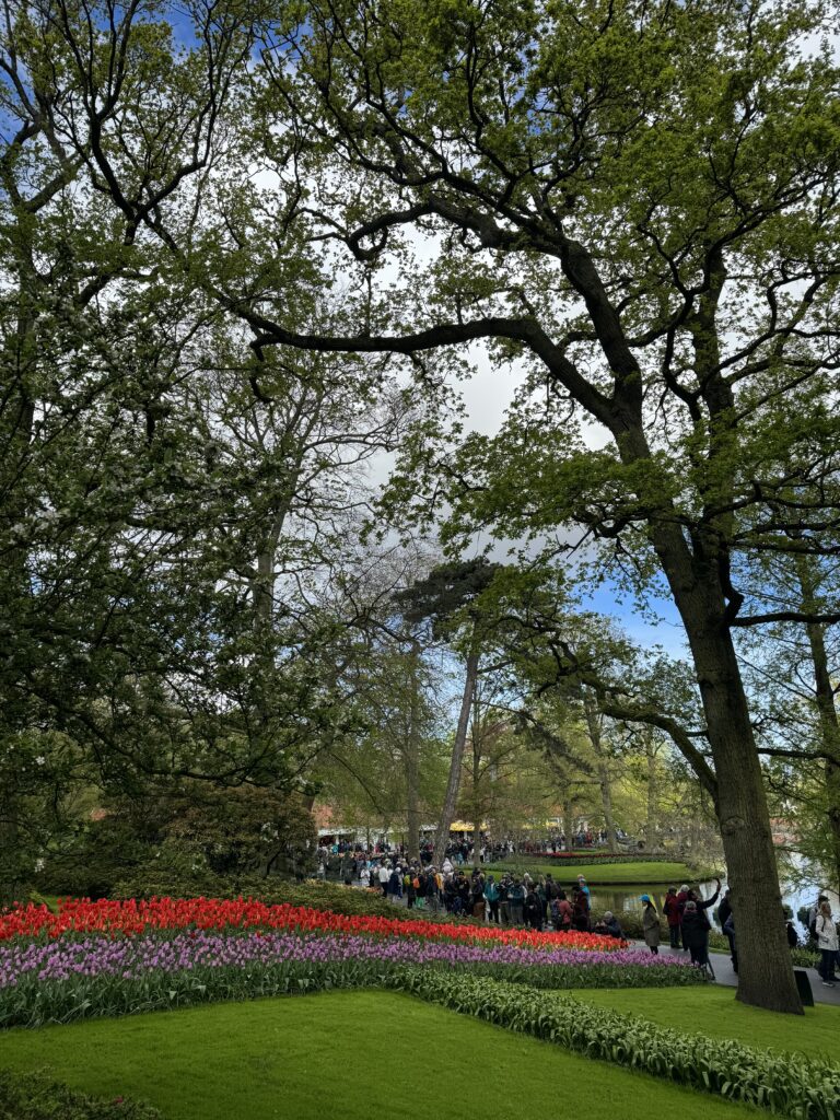 Keukenhof najveći vrt tulipana