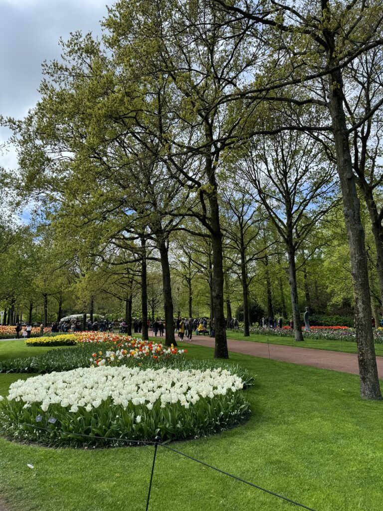 Keukenhof - najveći vrt tulipana u nizozemskoj