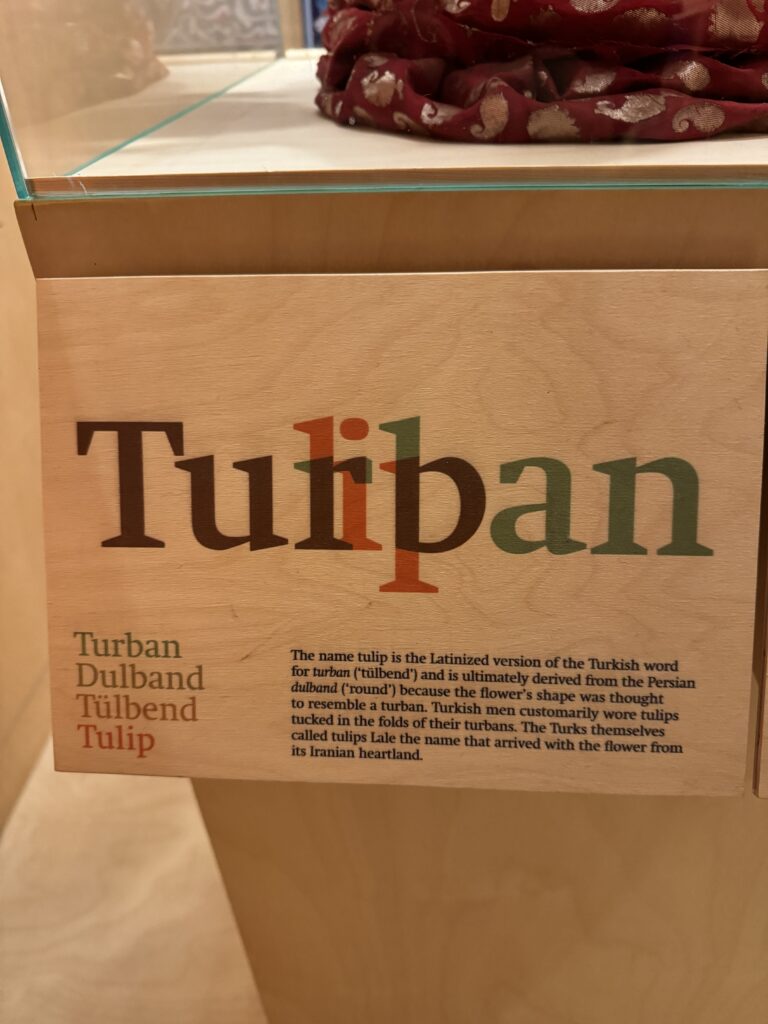 turban tulipan