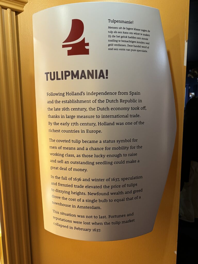 tulipmania značenje 