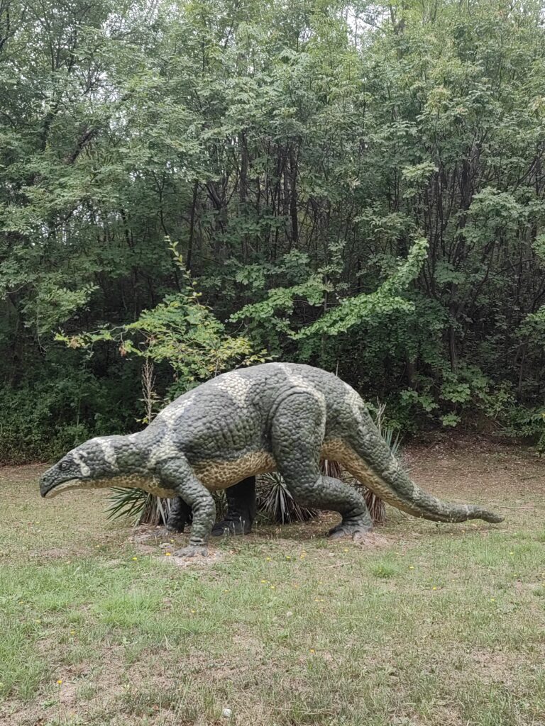 dinosaur u zoo 