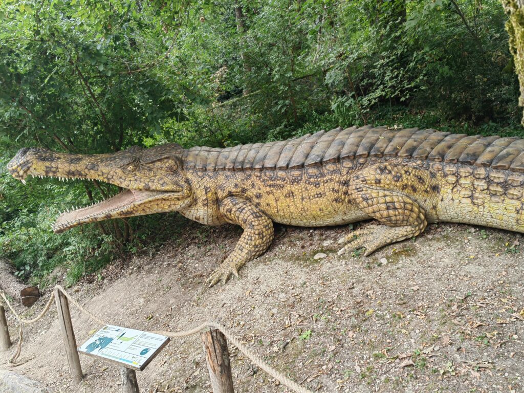 izumrli krokodil Parco Natura Viva zoološki