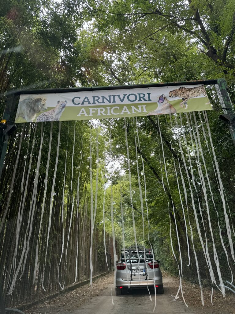 Safari park u Italiji divlje zvijeri