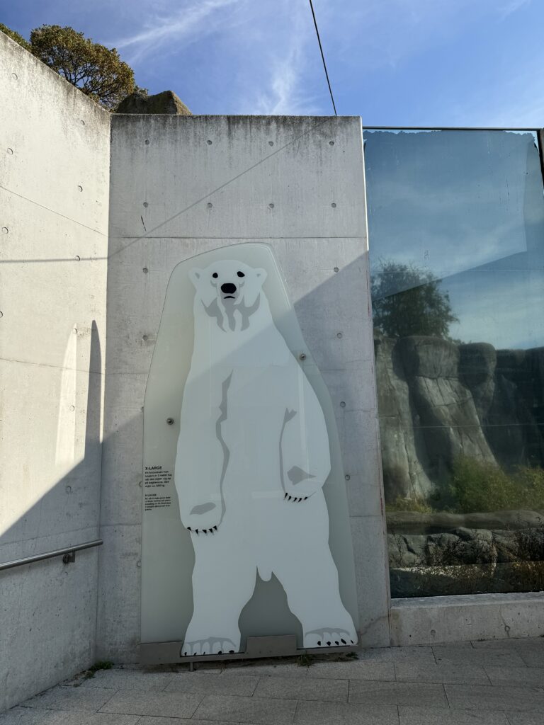 medvjed nastamba Zoološki vrt u Kopenhagenu